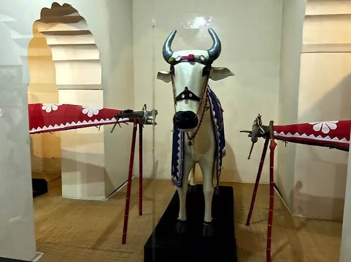 junagarh fort museum