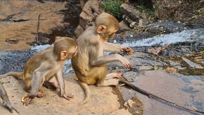 तीरथगढ़ जलप्रपात | Tirathgarh Waterfall